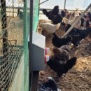 형제농장1호 이미지