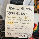원애견샵 | 제주도 우도소품관 우도 애견동반 가능 소품샵 기념품샵 내돈내산 후기.