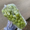 본리농원 이미지