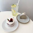 시루이야기디저트카페 | 합정 디저트 추천, 상수역 카페 시루케이크 | 특별한 마포 떡 케이크 맛집