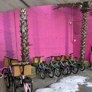 영웅이네펜션 | 양평 애견카페 펫리퍼블릭 애견팬션 양평애견카페 솔직후기