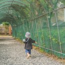 휴먼시아3단지 이미지