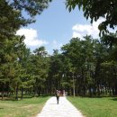 양산팔경 금강둘레길 이미지