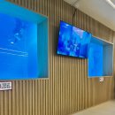 블루25시 편의점 | 대전 프리다이빙 강습후기! 다이브인블루