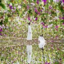 랩Flowers - 안산시 단원구 원본로3길 24 | 랩Flowers