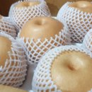 대박농원 이미지