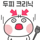 비발디 헤어 이미지