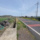 동광리-6 이미지