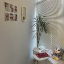 리베쥬 | [진해] 자은동 속눈썹펌 잘하는 곳 재방문 후기 왕추천 리베쥬