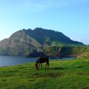 핀크스비오토피아 콘도미니엄 이미지