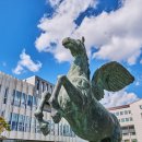 광운대학교 이미지