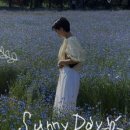 청해가리비칼국수 이미지