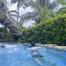 혁신카케어타운 | 푸꾸옥 여행 남부 단독투어 코스 선셋타운, 혼똔섬 케이블카까지