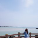 제주폴리폴리 이미지