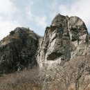 프린스여관 이미지