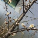 도전농장 이미지