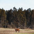 소명목장 이미지