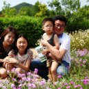 발안주유소 이미지