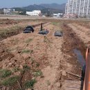 진호농장 이미지