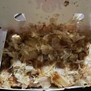 광주 타코야끼 찐 맛집 겉바속촉의 정석 타코냐미 푸드트럭 후기