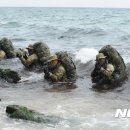 해군제1함대사령부(3특전대대)