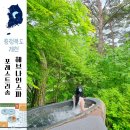 영주시 실내수영장 | 제천 포레스트 리솜 해브나인 스톤스파 숲속 수영장 예약 가격 할인