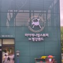 보어염소천국 | 애니멀스토리 in 평강랜드｜포천에 새로 생긴 감성 동물원