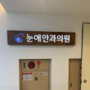 눈애안경 | 드림렌즈 초등학생 시력유지1년 사용 드림렌즈 관리 및 정기관리 안과 방문