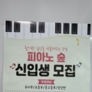 피아노숲 이미지