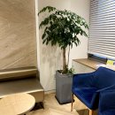 미즈여성산부인과의원 이미지