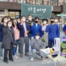 청년모종 이미지