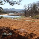 지전농장 이미지