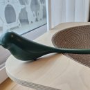 지혜로운생활연구소 이미지