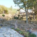 치유의숲 진입도로 이미지