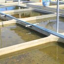 금어농장 이미지