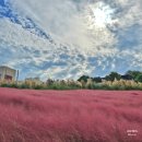 돌머리 696 이미지