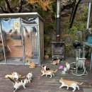 구름위의 산책 | [단양 여행] 충북 단양 패러글라이딩 뷰 맛집 구름 위의 산책 카페 내돈내산