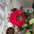 옥계남로-11 이미지