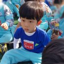 침신유치원 이미지