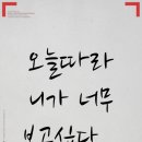 뜰안길로 이미지