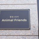 진주스토리 이미지