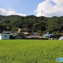 안영농장 이미지