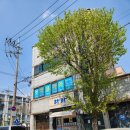 천곡중학교 | 광주 심리상담센터 마음아라 상담후기