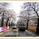 용연사주유소 이미지