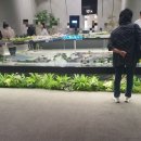 인천아라초등학교 | 모델하우스 후기 - 검단 센트레빌 에듀시티