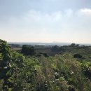 청수1789 이미지