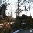 토브의 강가 이미지