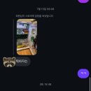 계수나무토끼한마리 | [여행] 이엠티걸즈와 여름나기 ps. 화순 계수나무토끼한마리