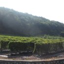 김진득 농장 이미지