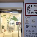 레푸스연신내점 이미지